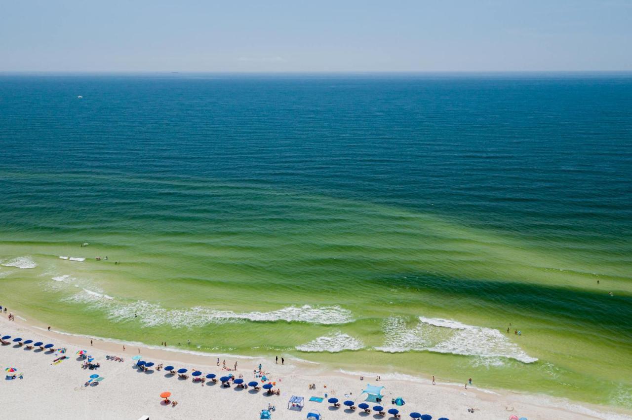 Sunset Spring Break Special ! Lägenhet Gulf Shores Exteriör bild